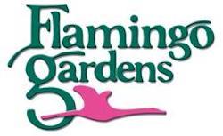 Flamingo Gardens